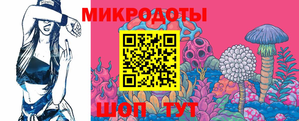 Галлюциногенные грибы ЛСД Горно-Алтайск
