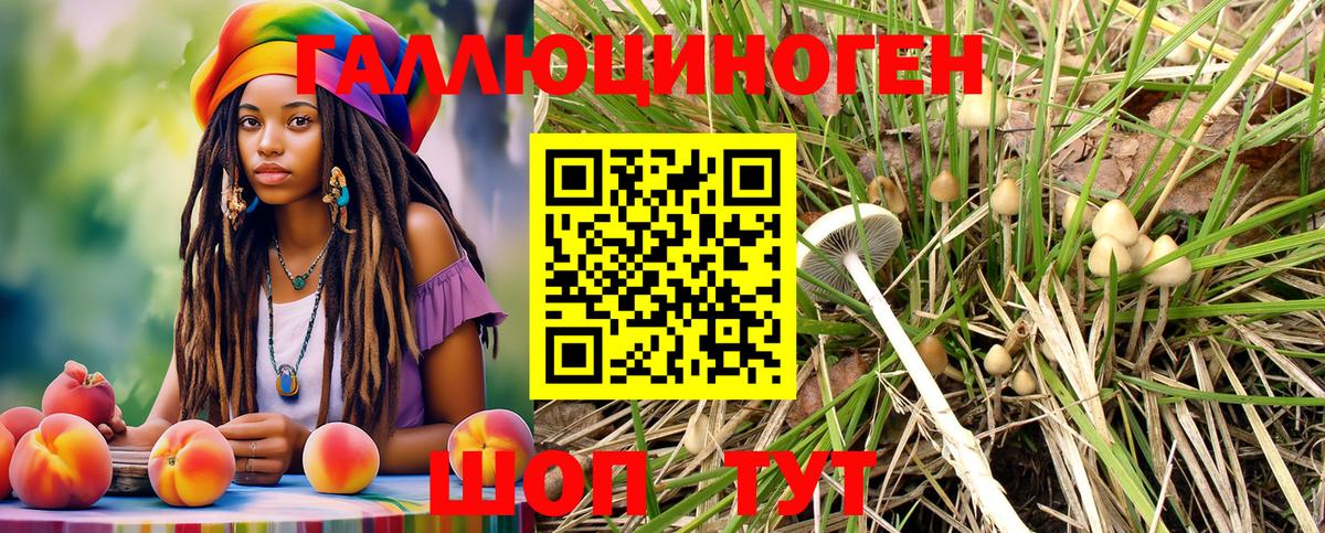 Горно-Алтайск  Псилоцибиновые грибы ЛСД  Вход с VPN 